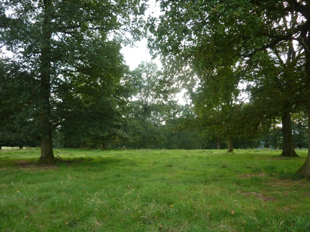 Nos biens à vendre | Notaires Debouche et Deprez